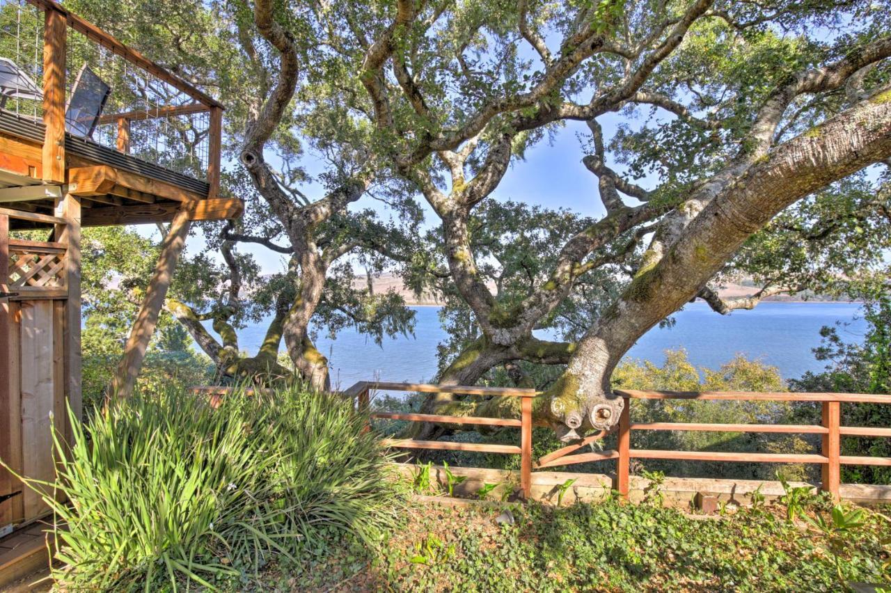 Hillside Home With Deck And Views Of Tomales Bay! Inverness Εξωτερικό φωτογραφία