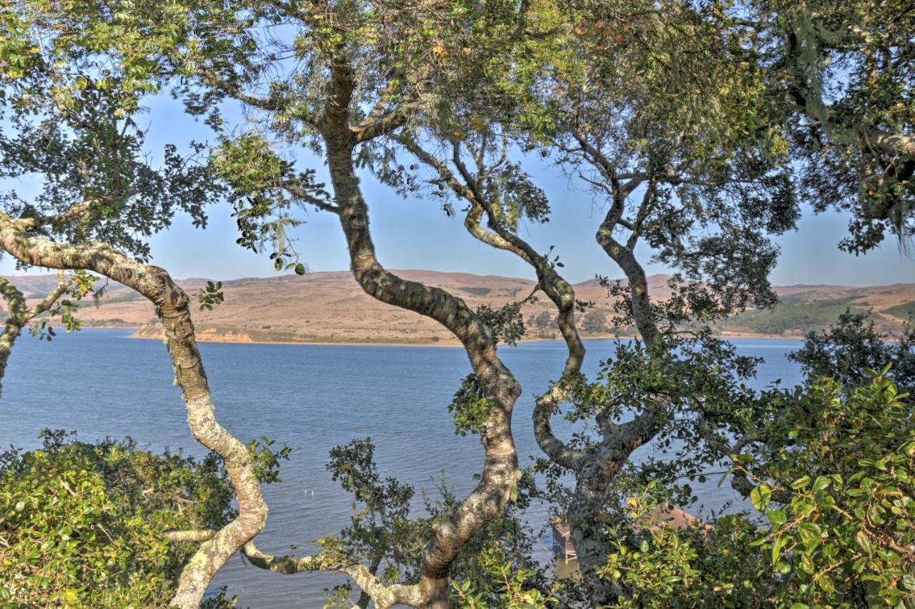 Hillside Home With Deck And Views Of Tomales Bay! Inverness Εξωτερικό φωτογραφία